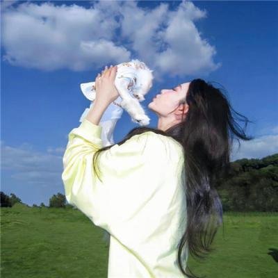 扫毒之兄弟情深